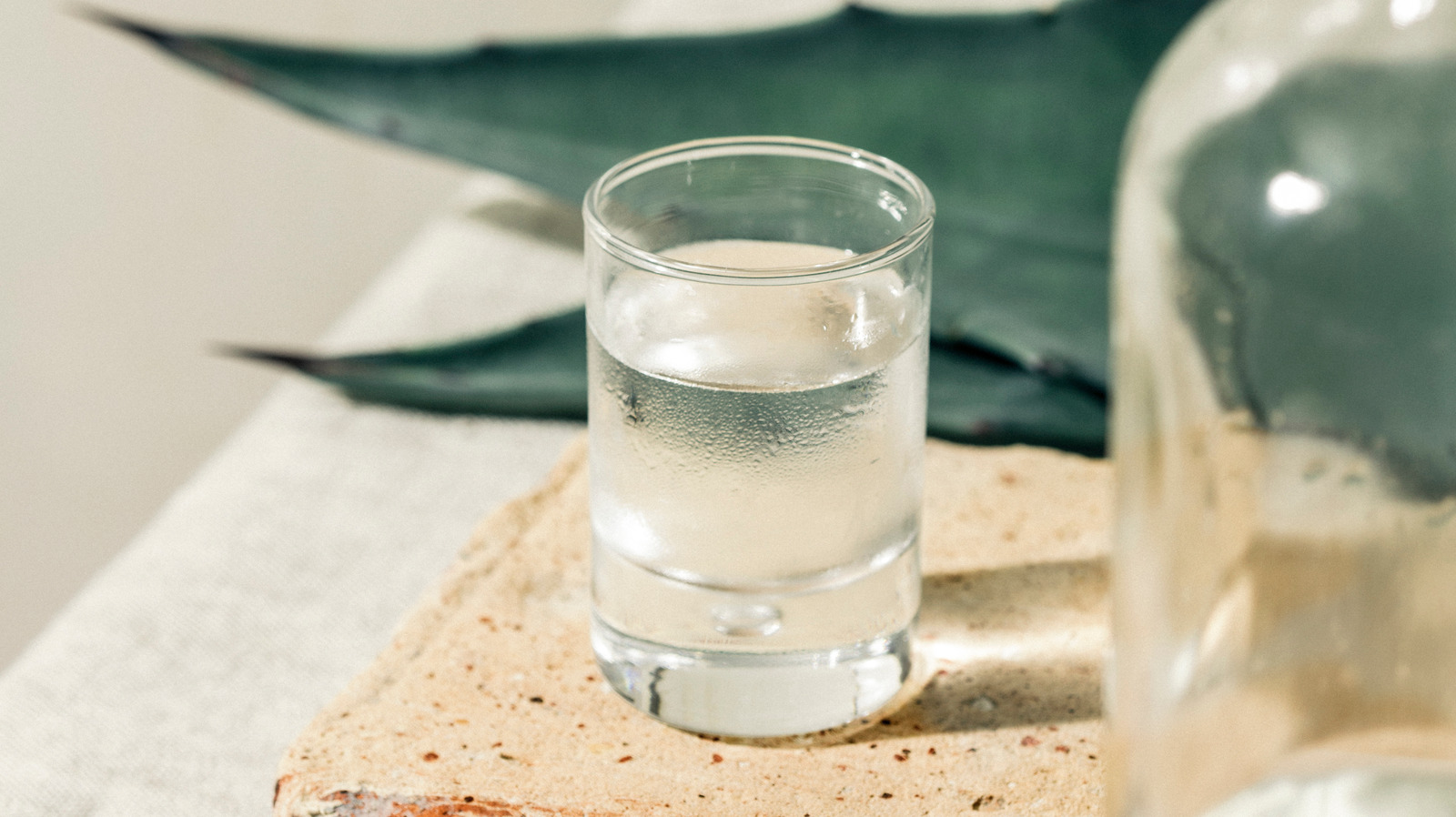 best sipping tequilas 